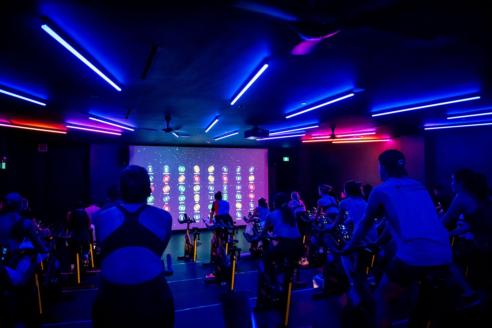 altea active toronto