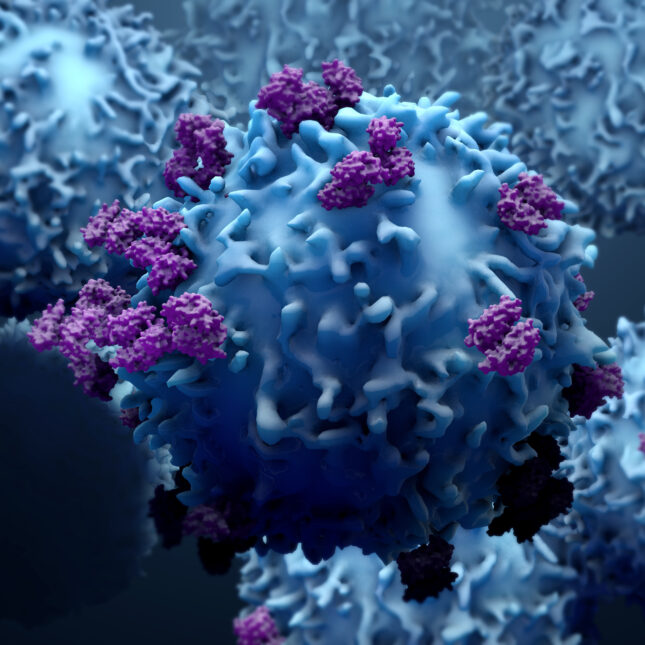 Purple proteins on blue T-cells — biotech coverage from STAT