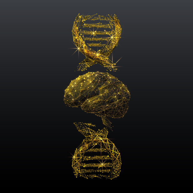 Golden brain and DNA spiral illustration. -- biotech coverage from STAT