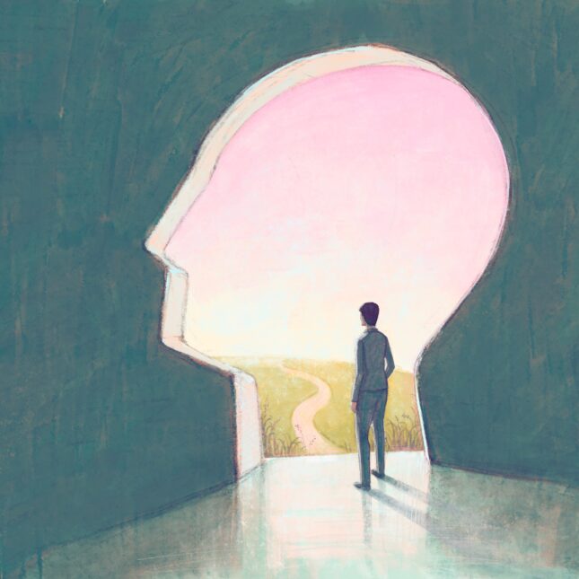 A person looks out of a head-shaped cave for a view of pink sky and a field road — first opinion coverage from STAT