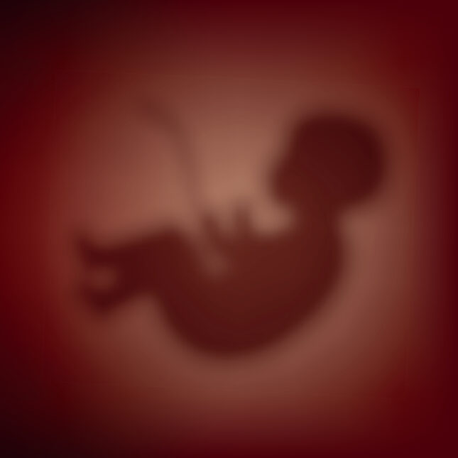 A blurred fetus in a womb — in the lab coverage from STAT
