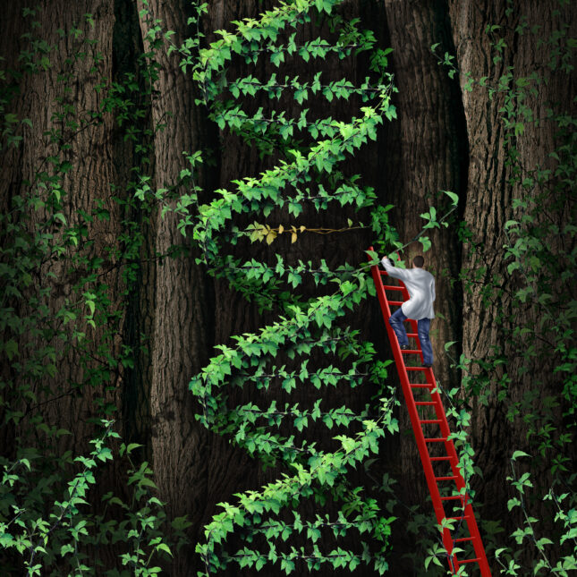 A doctor climbs up a red ladder to a vine shaped like a DNA — biotech coverage from STAT