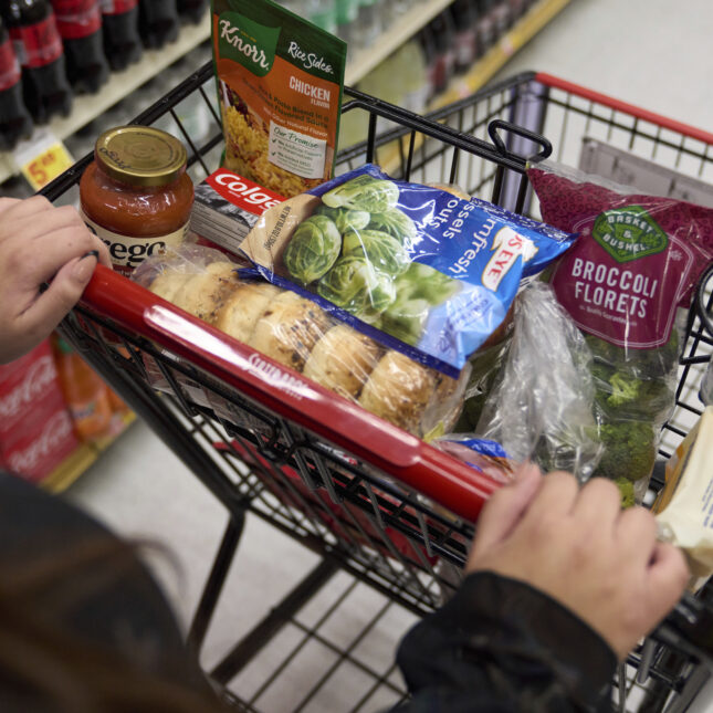 Hands pushing a shopping cart with groceries –– First Opinion coverage from STAT