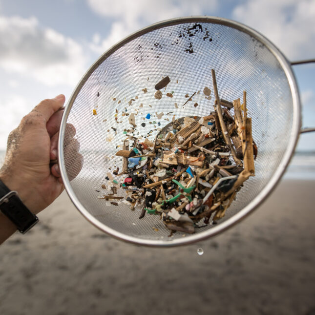 In front of an ocean view, a person holds up a wire strainer that had collected microplastics from Almaciga Beach — coverage from STAT