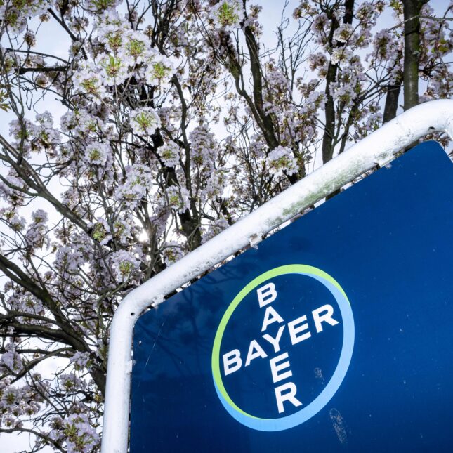 A sign of pharmaceutical company Bayer in front of a blossomed tree — pharma coverage from STAT